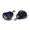 Natural Sodalite Pendants G-T138-208J-2