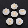 Natural Freshwater Shell Beads SHEL-S278-051-1