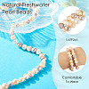 1 Strand Natural Cultured Freshwater Pearl Beads Strands PEAR-TA0001-17-5