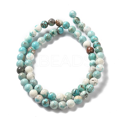 Natural Magnesite Beads Strands G-L555-02B-02-1