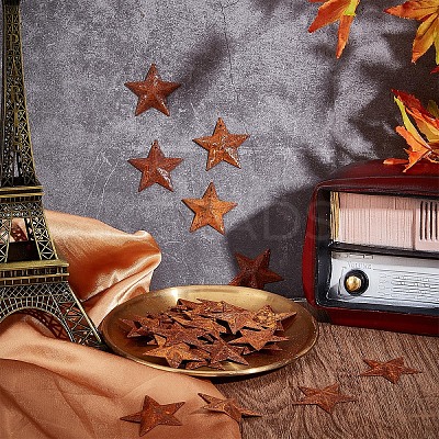 Rust Iron Pendants LS-IFIN-WH0065-16A-1