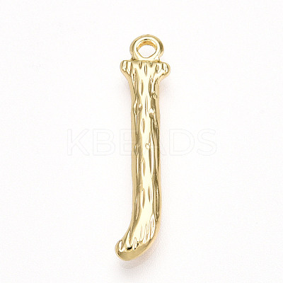 304 Stainless Steel Pendants STAS-N117-01G-J-1