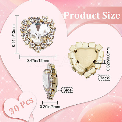 30Pcs Sew on Rhinestone RGLA-GF0001-13B-1
