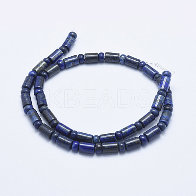 Natural Lapis Lazuli Beads Strands G-E444-24-1