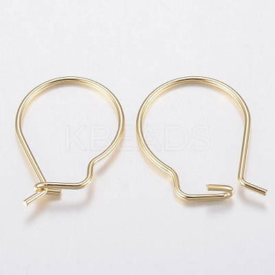 304 Stainless Steel Hoop Earring Findings X-STAS-H436-02-1