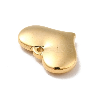 Ion Plating(IP) 304 Stainless Steel Pendants STAS-E176-01G-1