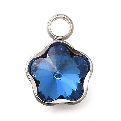 304 Stainless Steel Pendants STAS-Q346-02P-02-1