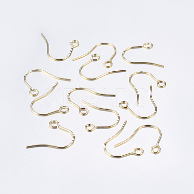 304 Stainless Steel Earring Hooks STAS-P162-13P-B-1