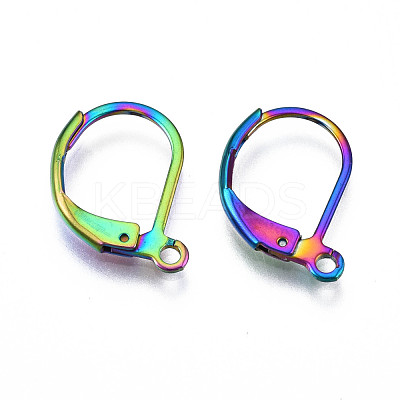 304 Stainless Steel Leverback Earring Findings STAS-N092-105-NR-1