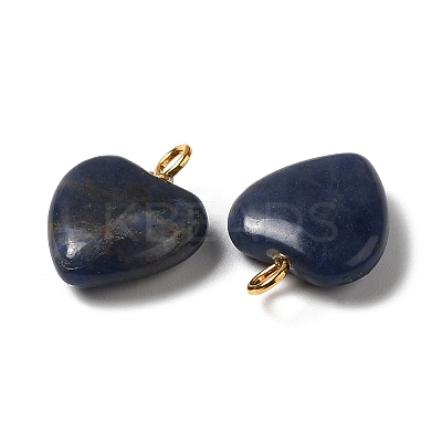 Natural Sodalite Pendants G-E603-01G-01-1