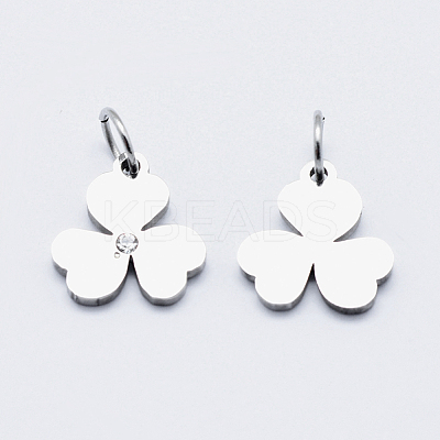 Eco-Friendly 316 Surgical Stainless Steel Micro Pave Cubic Zirconia Charms RB-I078-79P-NR-1