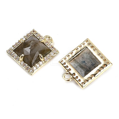 Natural Labradorite Faceted Square Charms G-I375-06G-08-1