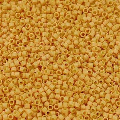 MIYUKI Delica Beads X-SEED-J020-DB2285-1