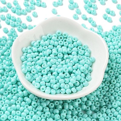Baking Paint Glass Seed Beads SEED-H002-I-A525-1
