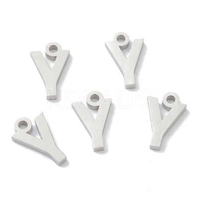 Non-Tarnish 304 Stainless Steel Charms STAS-G244-01G-1