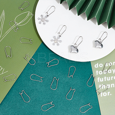 100Pcs 304 Stainless Steel Hoop Earrings Findings STAS-CN0001-48B-1