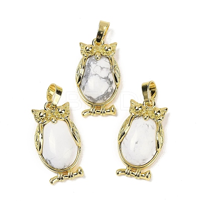Natural Howlite Pendant KK-F887-02G-06-1