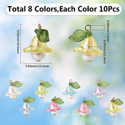 10 Sets Acrylic Charms FIND-SC0016-67-1