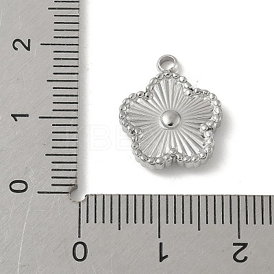 304 Stainless Steel Pendants STAS-P388-10P-1