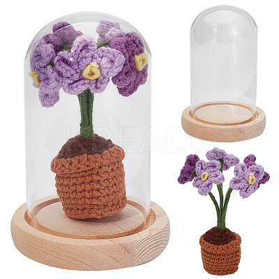 1 Set Glass Cloche Bell Jar Terrarium with 1Pc Handmade Knitting Crochet Artificial Myosotis Sylvatica Potted DJEW-WR0001-01A-1