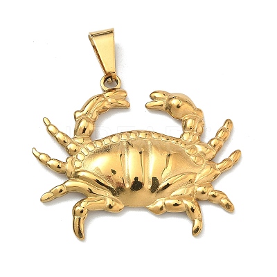 304 Stainless Steel Pendants STAS-F336-13G-04-1