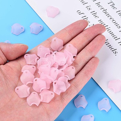 Transparent Acrylic Beads MACR-S373-106-D05-1