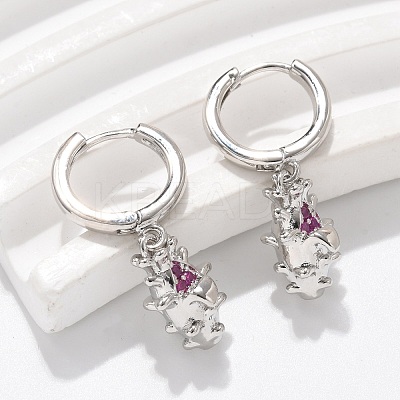 Brass Cubic Zirconia Hoop Earrings EJEW-Q015-01P-A-1