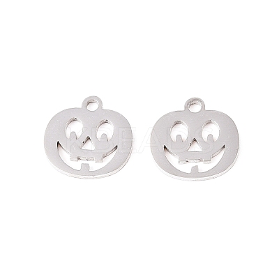 Tarnish Resistant 304 Stainless Steel Charms STAS-Q201-T058-1