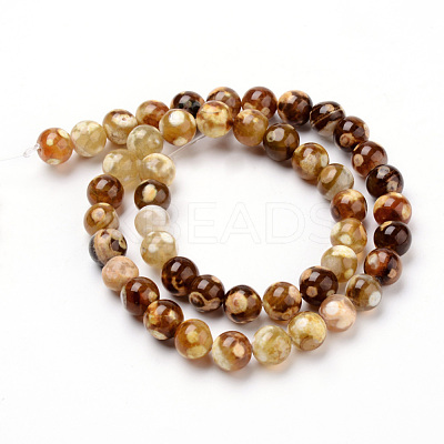 Natural Fire Crackle Agate Beads Strands G-Q462-67-10mm-1