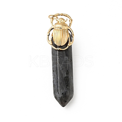Insect Natural Labradorite Pointed Pendants G-I333-02D-1