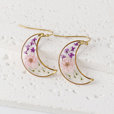 Moon 304 Stainless Steel Dangle Earrings WG43EF9-06-1