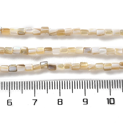 Natural Freshwater Shell Beads Strands SSHEL-B002-17-1