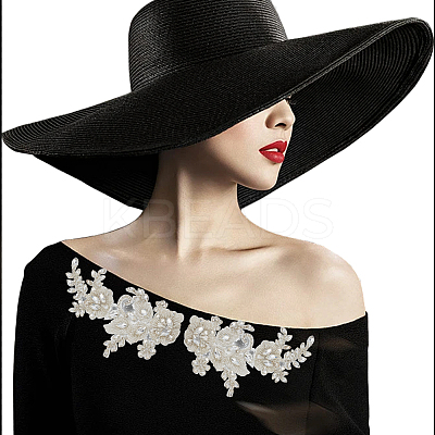 Hotfix Rhinestone AJEW-WH0479-76-1
