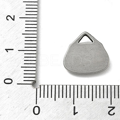 304 Stainless Steel Charms STAS-P422-11P-1