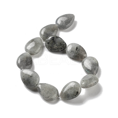 Natural Labradorite Beads Strands G-P528-L03-01-1