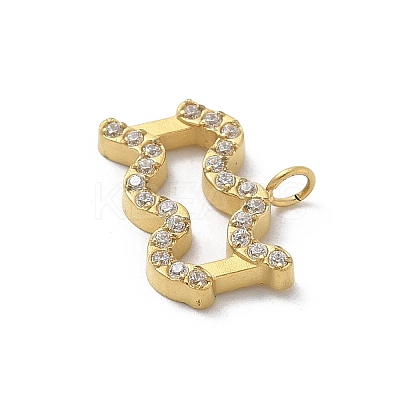 Ion Plating(IP) 304 Stainless Steel Micro Pave Cubic Zirconia Charms STAS-Z107-09G-01-1