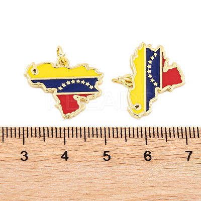 Rack Plating Brass Enamel Pendants KK-P269-07G-1