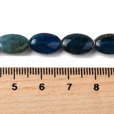 Natural Apatite Beads Strands G-Q026-A01-01-1