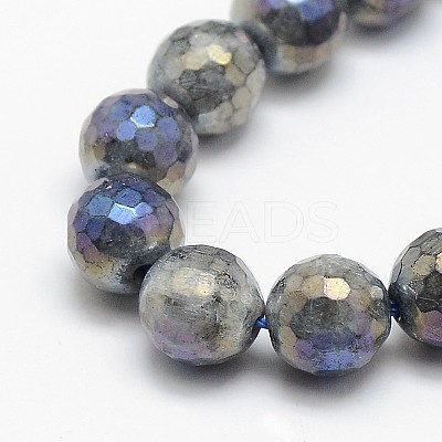 Electroplate Natural Labradorite Beads Strands X-G-L150-14mm-01-1