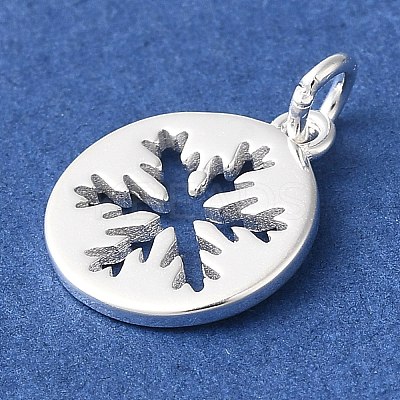 925 Sterling Silver Charms STER-M120-01E-S-1