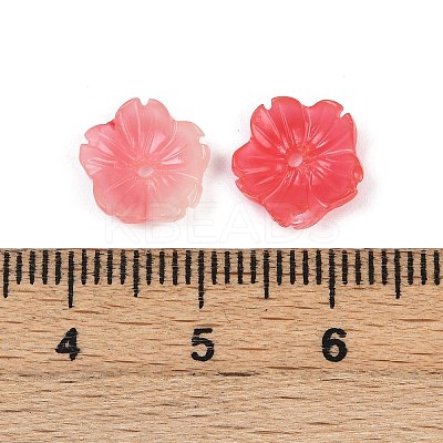 Shell Powder Beads LS-BSHE-L038-01B-1
