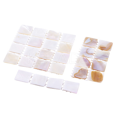 3Pcs 3 Styles Natural Shell Nail Art Display Board ODIS-TA0001-04-1