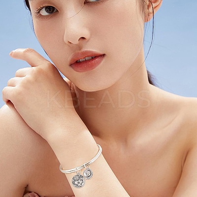 20 Styles Tibetan Style Alloy Pendants FIND-AR0005-10-1