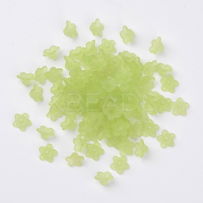 Transparent Acrylic Beads PL554-14-1