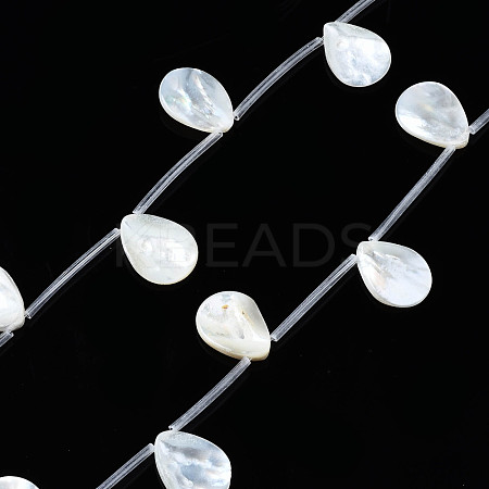 Natural Freshwater Shell Beads Strands SHEL-N026-153A-01-1