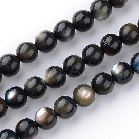 Natural Black Lip Shell Bead Strands SSHEL-S252-06-1