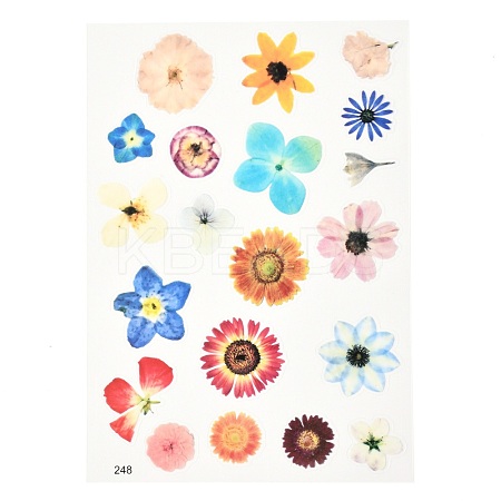 Waterproof Plastic Self Adhesive Stickers DIY-F064-13E-1