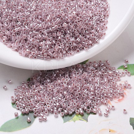 MIYUKI Delica Beads SEED-J020-DB0256-1