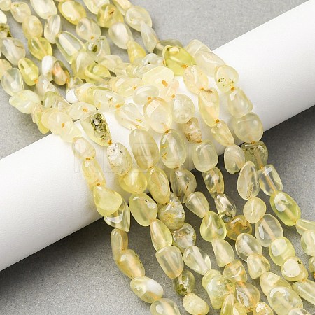 Natural Gold Prehnite Beads Strands G-K395-A07-01-1