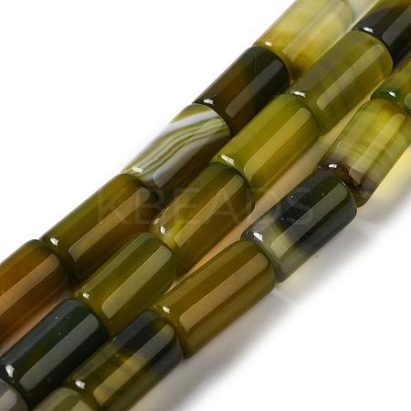 Natural Agate Beads Strands G-H295-E01-12-1